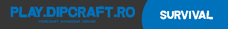 Play.DipCraft.Ro ----> Network MD-RO